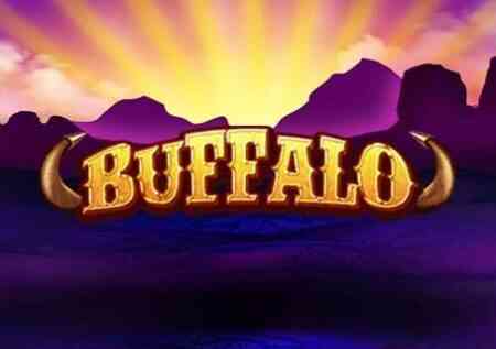 Buffalo