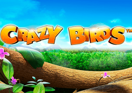 Crazy Birds